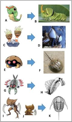  Diplopoda Desmoceras: Are these armored arthropods the real-life Pokemon trainers of the forest floor?