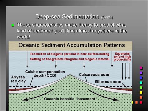  Hyalinbranchioglobus  - Discover an Unassuming Master of Deep Sea Sedimentation and Bioturbation!